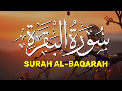 قرآن رمضان سورة البقره ☀️ قرآن كريم بصوت جميل لتحصين المنزل وجلب البركه💚Surat Al-Baqarah Quran