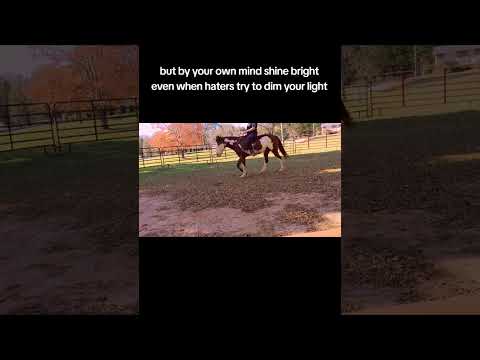 Feeling worthless? Let your light shine #painthorse #horse  #encouragement #bareback #neckrope