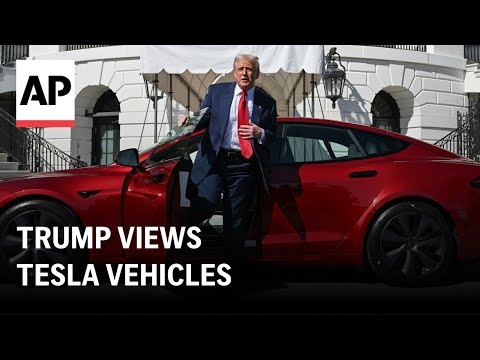 Trump views Tesla vehicles