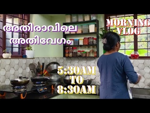 അയ്യോ ഒരു നാട് ഭരിക്കാൻ ഇത്രേം പാടില്ല.. അത്രേം തിരക്ക് പിടിച്ച സമയം#dayinmylife #dailyroutinevlog