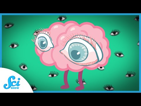 Are Your Eyes Part of Your Brain?