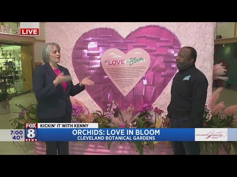 Kenny learns there is a lot to love about orchids