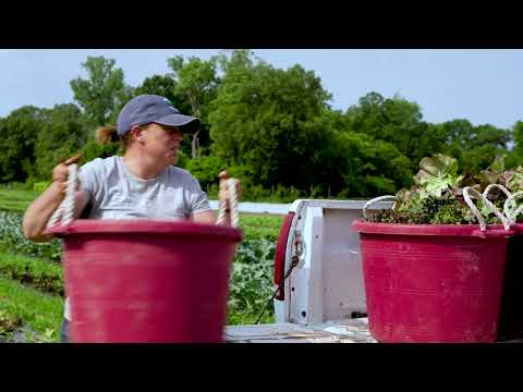 Illinois Made | Three Rivers Community Farm