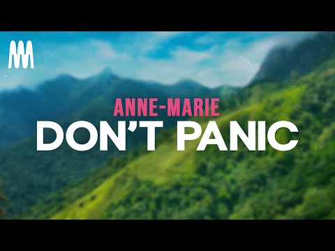 Anne-Marie - Don't Panic (Lyrics)