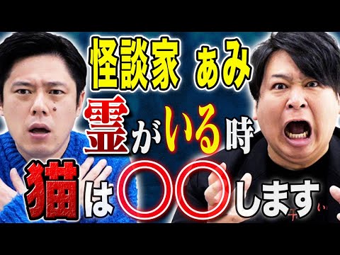 【怪談家ぁみ】霊感があるのは人だけじゃない、、、猫にまつわるちょっと変わった怖い話