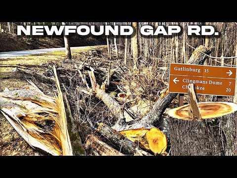 DESTRUCTION ALONG NEWFOUND GAP ROAD |GSMNP| January Storms Leave Path Of Damage