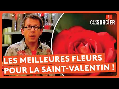 Comment choisir ses fleurs pour la Saint-Valentin ? - C'est pas sorcier