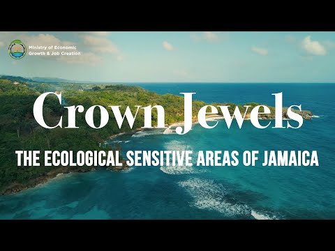 Crown Jewels: The Ecologically Sensitive Areas of Jamaica | A Short Documentary