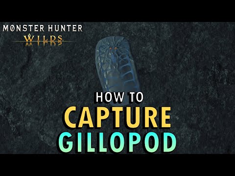 Monster Hunter Wilds - How to Catch a Gillopod | Dareel's Research Report Guide 3 (With Commentary)