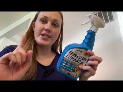 Review of the Active Pet Odor and Stain Eliminator - 32 oz ACTIVE Enzyme Cleaner for Dog & Cat Urine