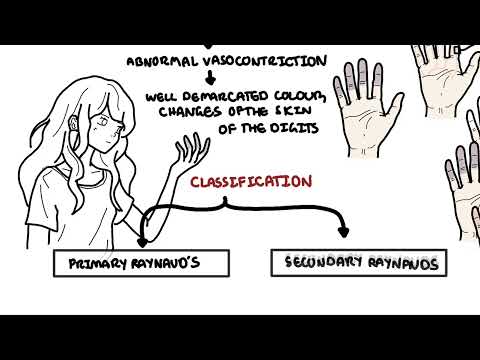 Raynaud's Phenomenon - mechanism