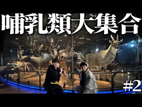 動物大集合で加藤純一大興奮！【国立科学博物館#2】