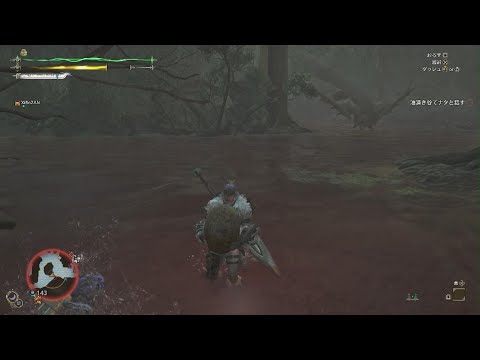 【MH:WILDS】卵泥棒を助けるヒーローにありがとう