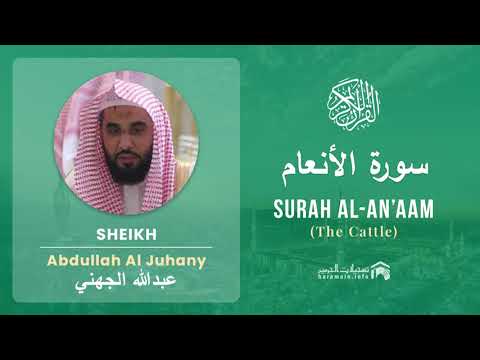 Quran 6   Surah Al An'aam سورة الأنعام   Sheikh Abdullah Al Juhany - With English Translation