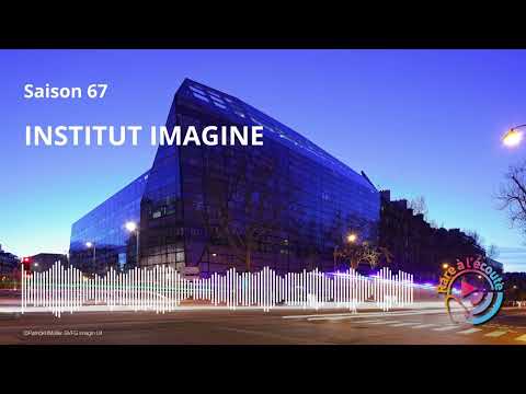 Institut Imagine