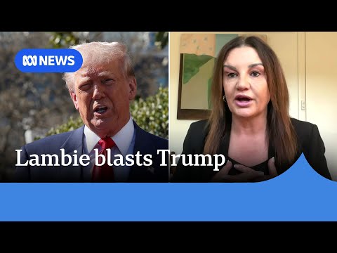 'We need to put our foot down': Jacqui Lambie says Australia needs to stand up to Trump | ABC NEWS