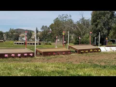 Irish cross country jumping 2