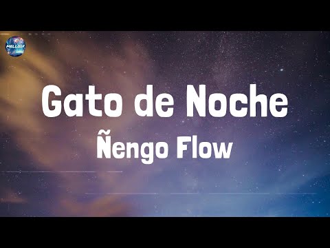 Ñengo Flow - Gato de Noche (Lyrics)