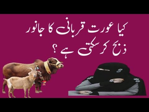 عورت قربانی کاجانورذبح کرسکتی ہے کہ نہیں