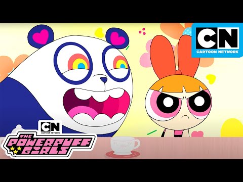 Un-Bear-able! | New Powerpuff Girls | Season 3 | Cartoon Network