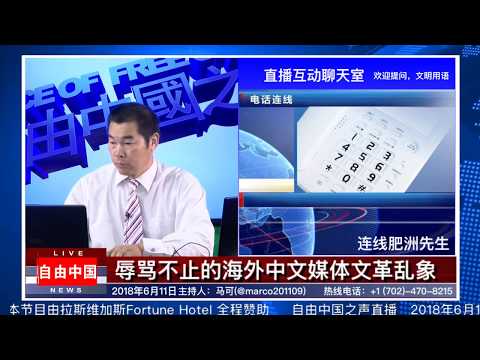 【访谈肥洲】肥洲对Stone记先生、郭文贵先生、路德（王定刚）先生的自白【完整版】（自由中国之声官方授权转发）