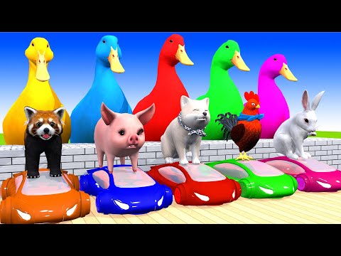 5 Giant Duck Cartoon, Cow, Giraffe, Elephant, Lion, Paint Wild Animals Crossing Fountain Animation 5