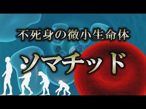 【ソマチッド】血液中にある生命体は病気を撲滅する可能性がある