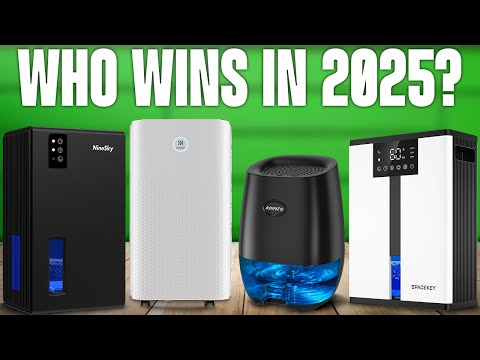 TOP 5 Best Dehumidifiers 2025