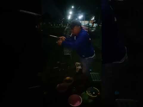 pesona tarikan ikan patin