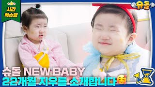 언어 천재의 등장⁉️ 똑똑이 지우를 소개합니다❤ [슈돌 유튜브/The Return Of Superman] KBS 240609 방송