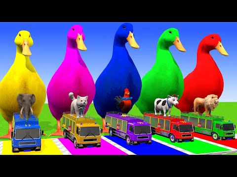 5 Giant Duck Cartoon, Cow, Zebra, Elephant, Lion, Animals Crossing Fountain Animal Game