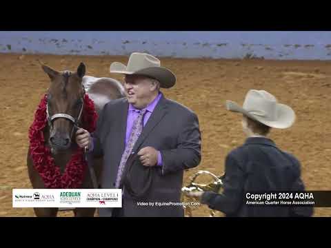 2024 AQHA Select Weanling Geldings World Champion