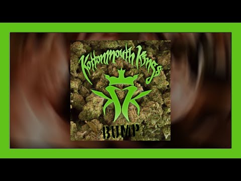 Kottonmouth Kings - Bump (Official Music Video)