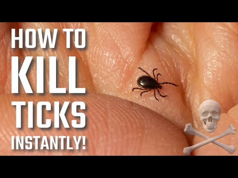 Instantly Kill Vampire Ticks