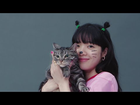 あいみょん - 猫にジェラシー【very short teaser】