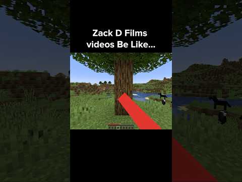 Minecraft Zack D. Films Moment