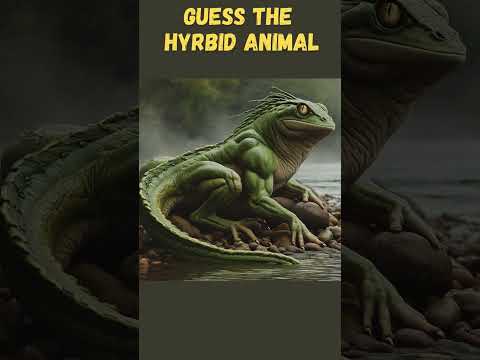 #shorts Guess The Hybrid Animals 🦁 Crazy Animal Mashup