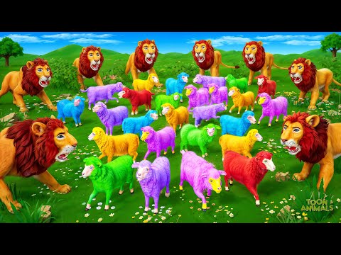 Color Sheep Gang Attacks Lions - Farm vs Wild Animals Fights | Animal Encounter Adventures!