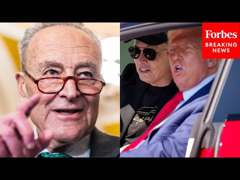 Schumer Slams Trump For Tesla 'Advertisement', Says MAGA Buyers Can Thank Dems For $7,500 EV Credit