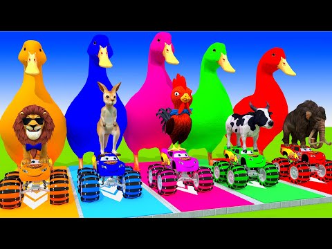 5 Giant Duck Cartoon, Cow, Mammoth, Elephant, Lion, Paint Wild Animals Crossing Fountain Animation