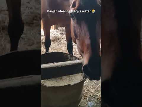 He won't drink his own water 🤣