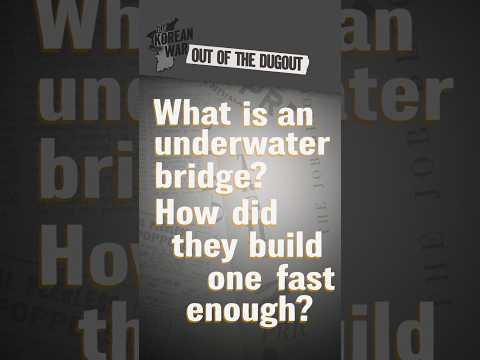 What is an underwater bridge? - #OOTD #shorts