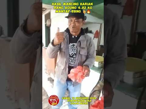 GACOR! MANCING HARIAN 50 RIBU, BANG AGUNG DAPAT 4.82 KG DI PEMANCINGAN EMA