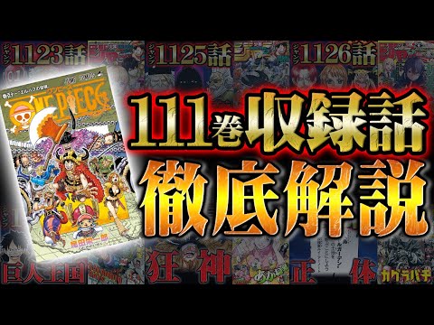 【総集編】待ちに待った巨人の王国！科学の島を脱出し物語はエルバフへと進む！エッグヘッド編完結〜エルバフ編突入までの111巻収録1122話〜1133話をおさらい！【 ワンピース 解説 】