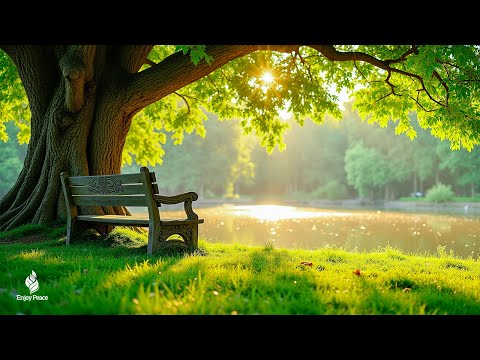 All Your Worries Will Disappear If You Listen To This Music 🎶 Relaxing Music Calms The Nerves