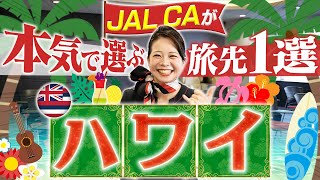 JALのCAが1つだけ選ぶならどこに行く？旅先1選！！【ハワイ】