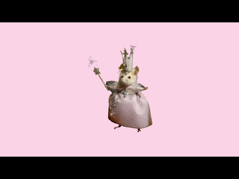 pov: you're a rat in your princess era 🜲 (silly lofi playlist)