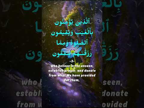 Just 1 Minute a Day for Allah's Blessing - Heart Touching Quran Recitation Al Baqarah {1-5}