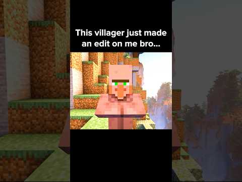 Minecraft Villager Moment