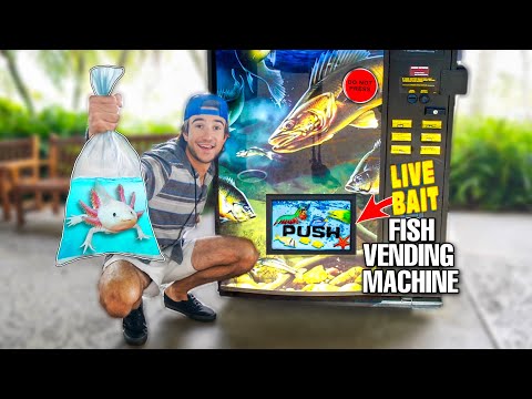 Buying AQUARIUM FISH From LIVE FISH VENDING MACHINE!